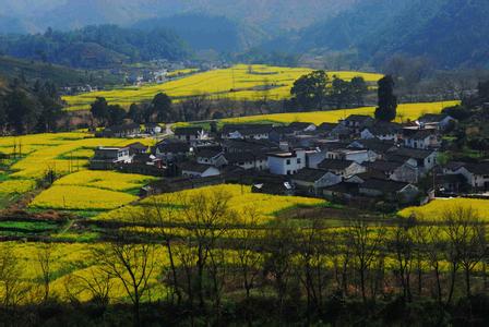 石台天气预报10天查询