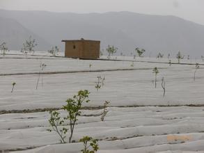 红古天气预报10天查询