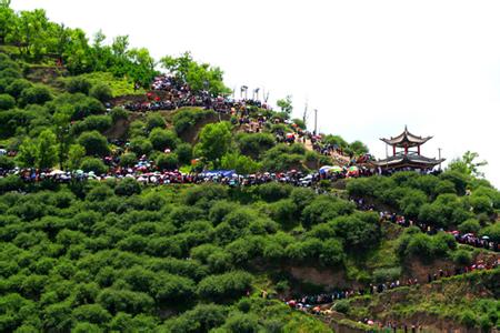 岷县天气预报10天查询，末来十天天气