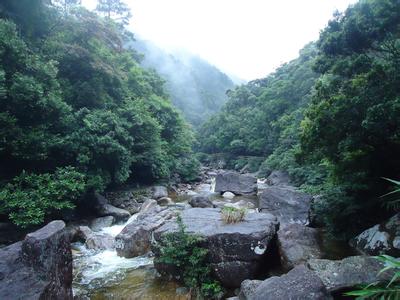 上思天气预报30天查询,上思县一个月天气