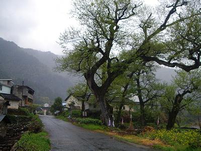 池州石台天气预报_石台天气预报一周7天10天15天池州石台天气预报,石台天气预报一周7天10天15天