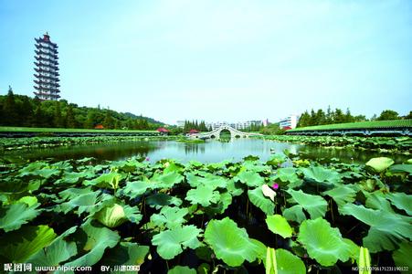 湖北鄂州天气预报_鄂州天气预报一周7天10天15天湖北鄂州天气预报,鄂州天气预报一周7天10天15天