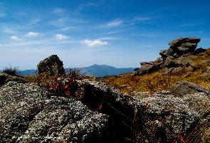 武夷山黄岗山天气