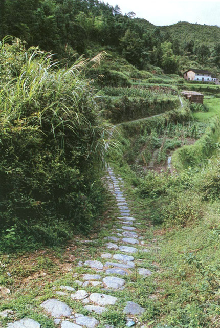 丽水龙泉青瓷窑址天气