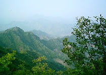 河北八仙山自然保护区天气