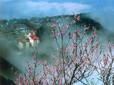 庐山东林大峡谷生态文化旅游休闲度假区天气