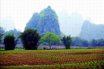 肇庆怀集世外桃源村天气