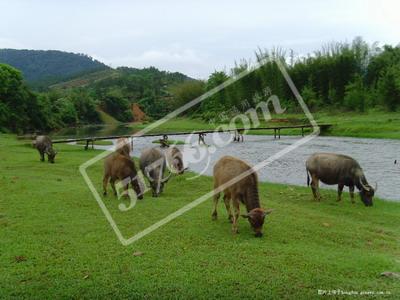 梧州大爽河生态旅游景区