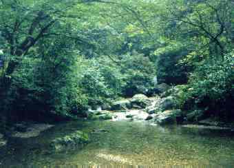 眉山黄金峡天气